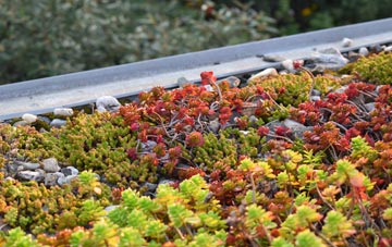 the cost of Rossglass green roof installation