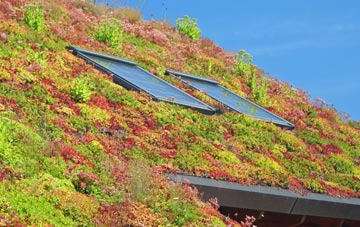 Rossglass living roof systems